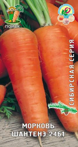 Морковь Шантенэ 2461 (сибирская серия)