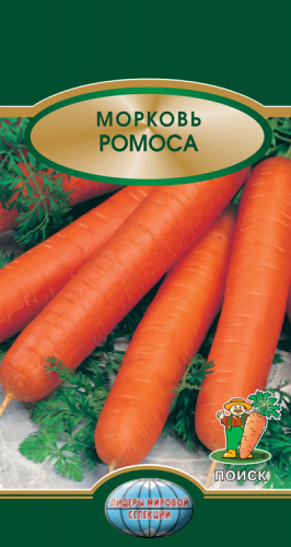 Морковь Ромоса'